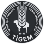 tigem